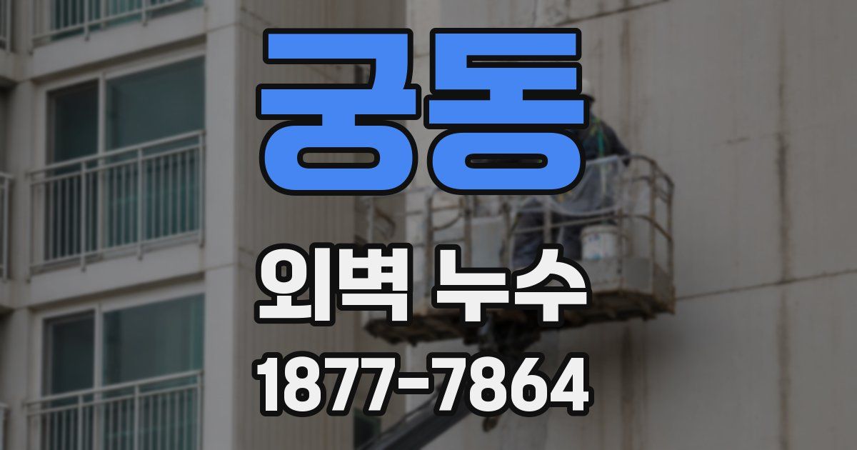 궁동 외벽 누수