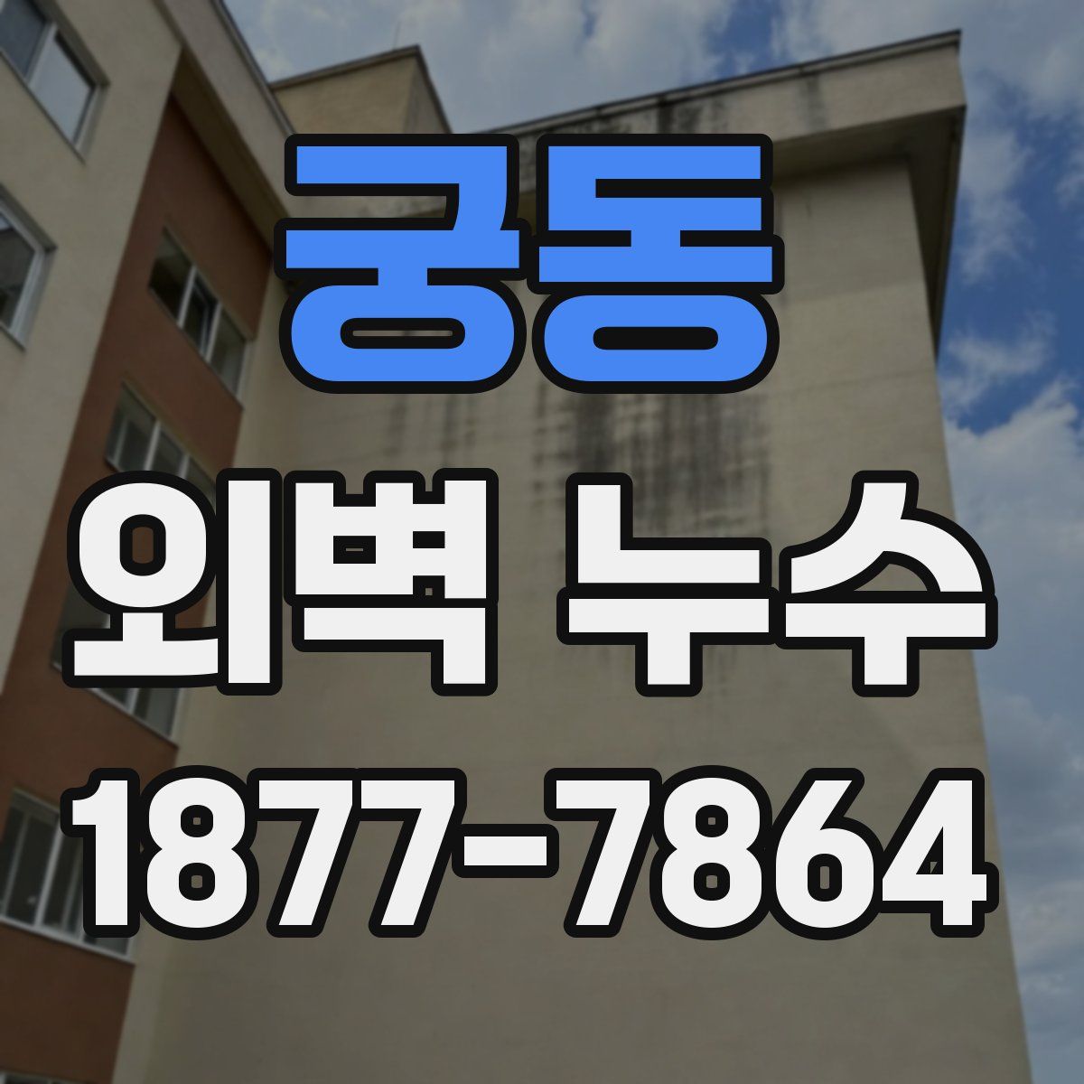 궁동 외벽 누수