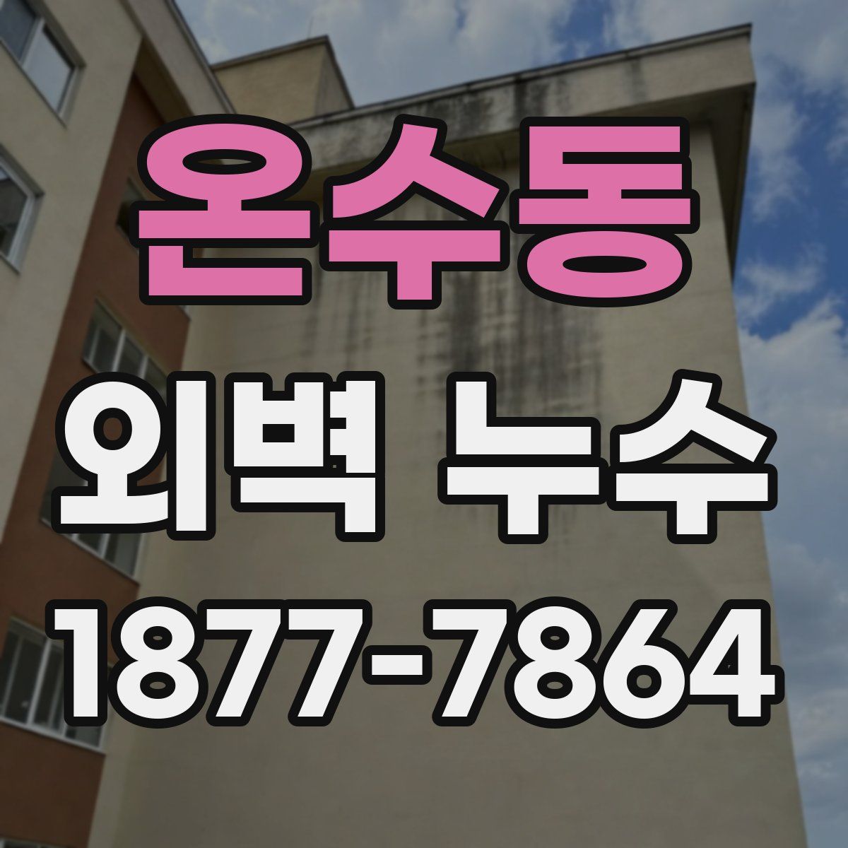 온수동 외벽 누수