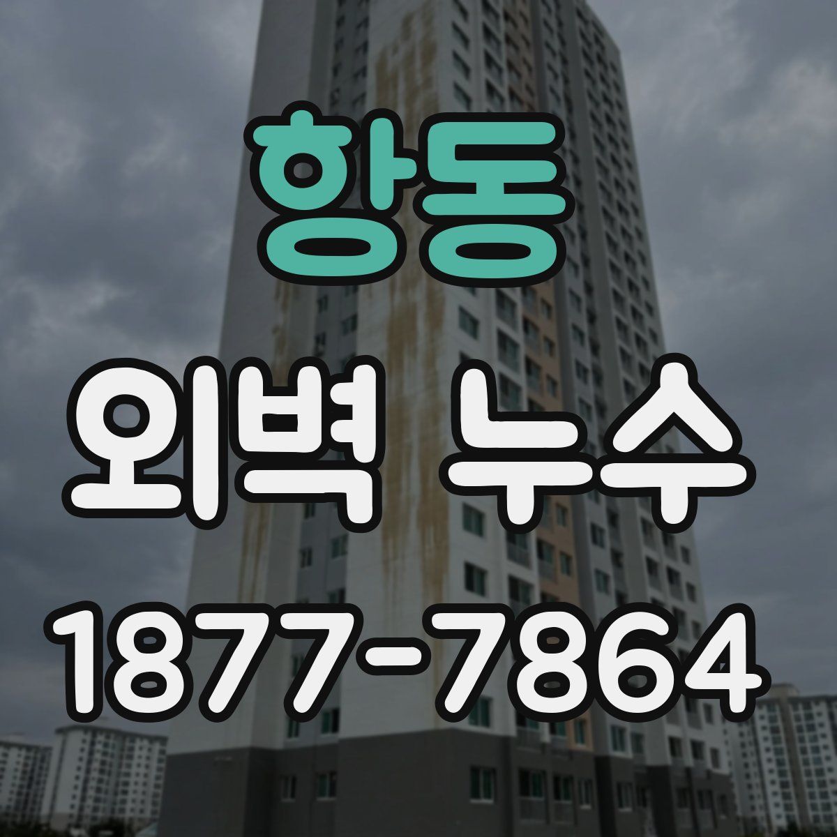 항동 외벽 누수