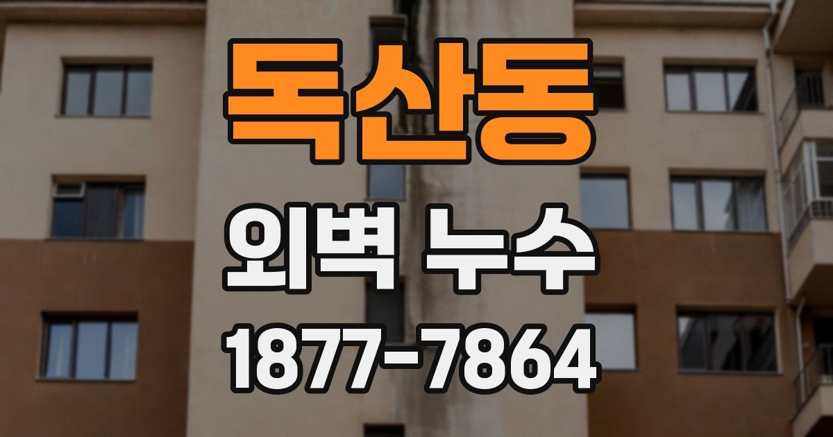 독산동 외벽 누수