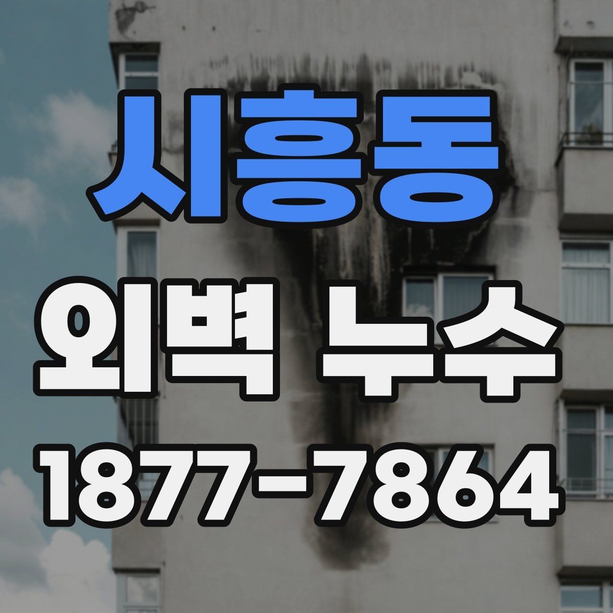 시흥동 외벽 누수 공사 전 계약서에서 확인할 점