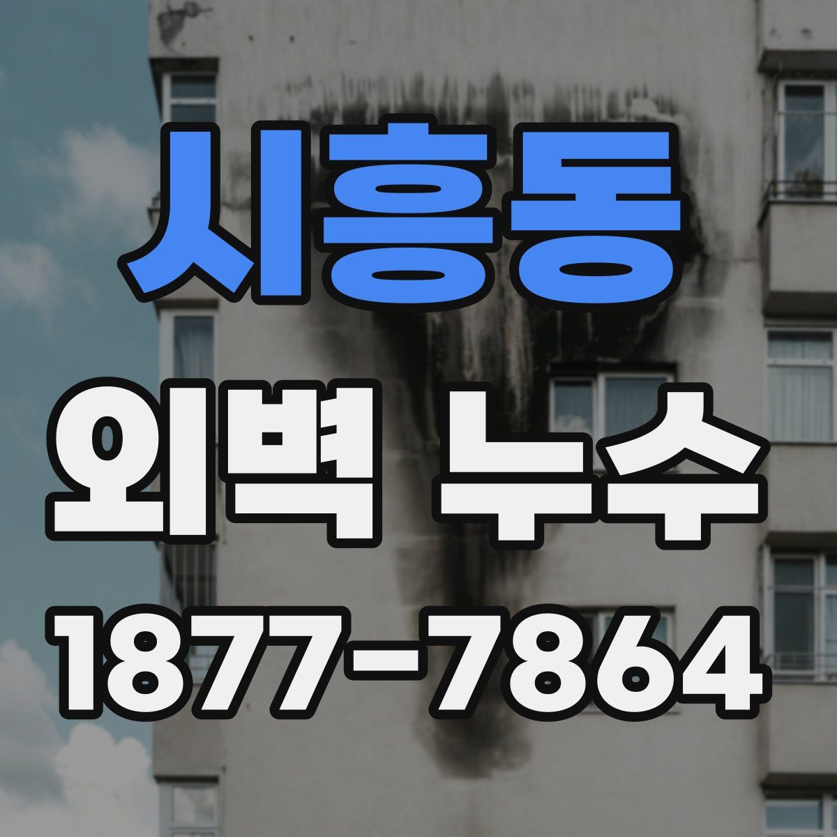 시흥동 외벽 누수