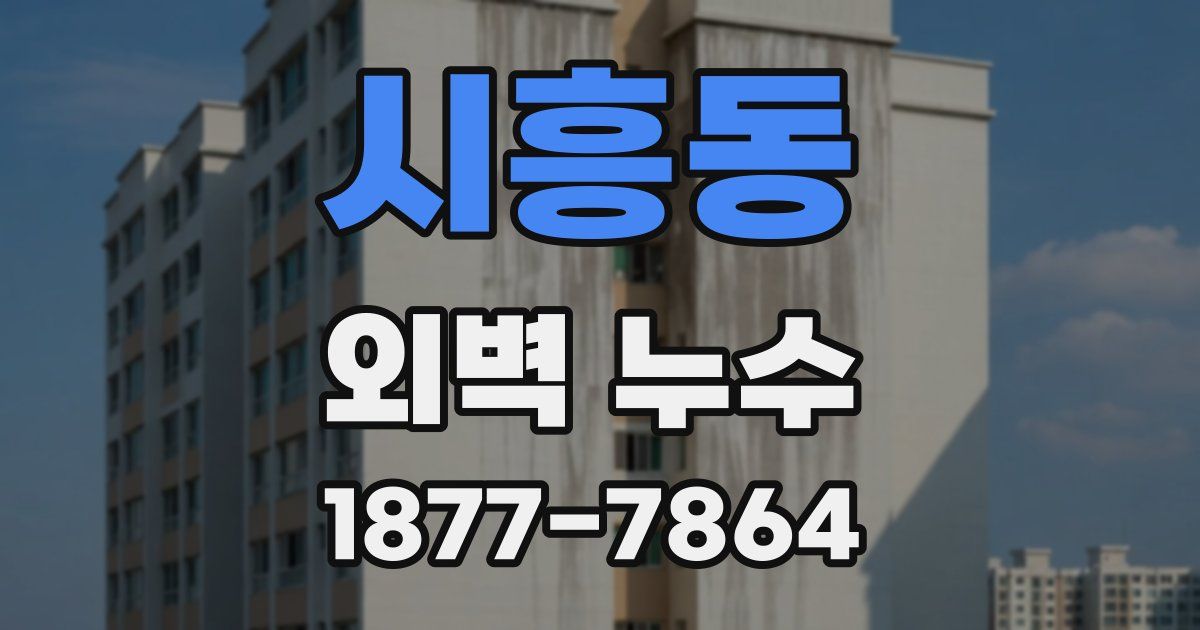 시흥동 외벽 누수