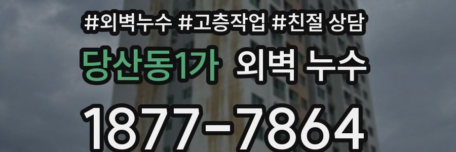 당산동1가 외벽 누수