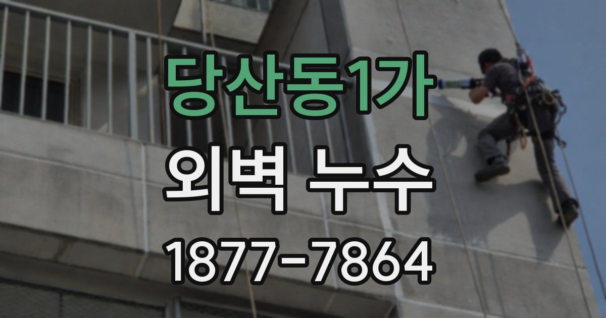 당산동1가 외벽 누수
