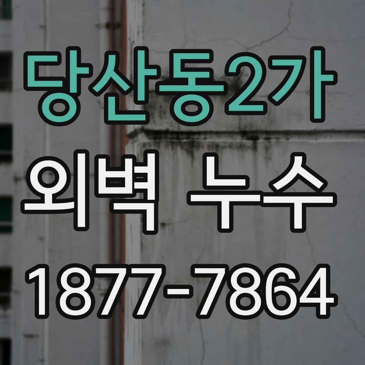 당산동2가 외벽 누수