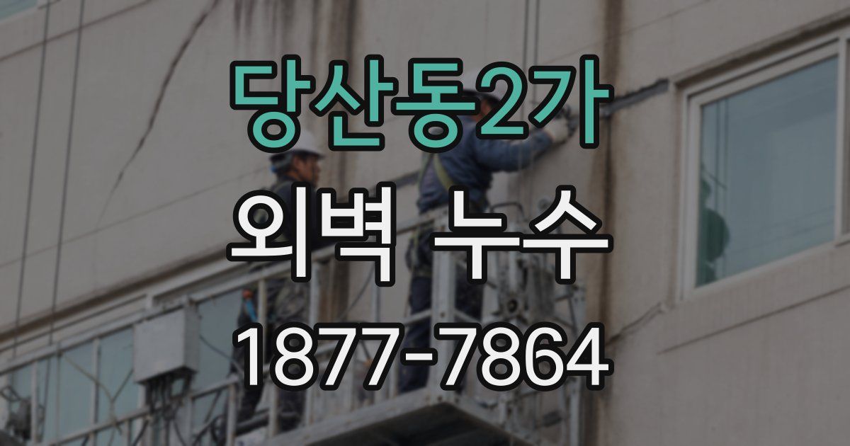 당산동2가 외벽 누수