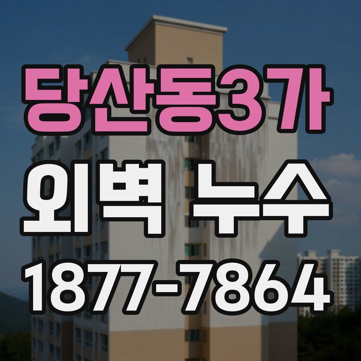 당산동3가 외벽 누수