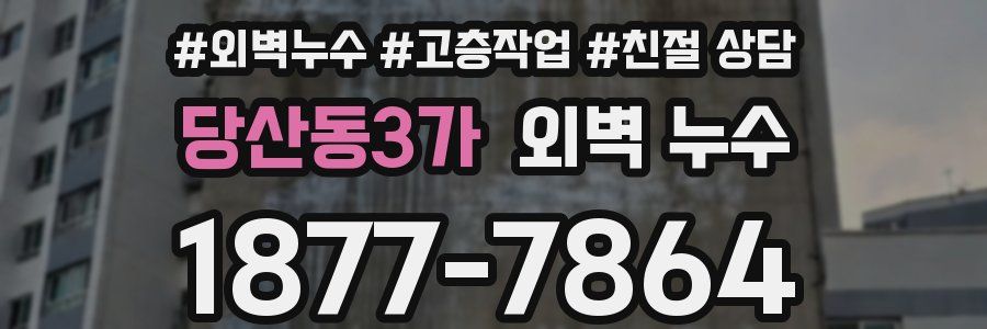 당산동3가 외벽 누수