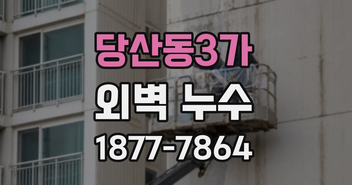 당산동3가 외벽 누수