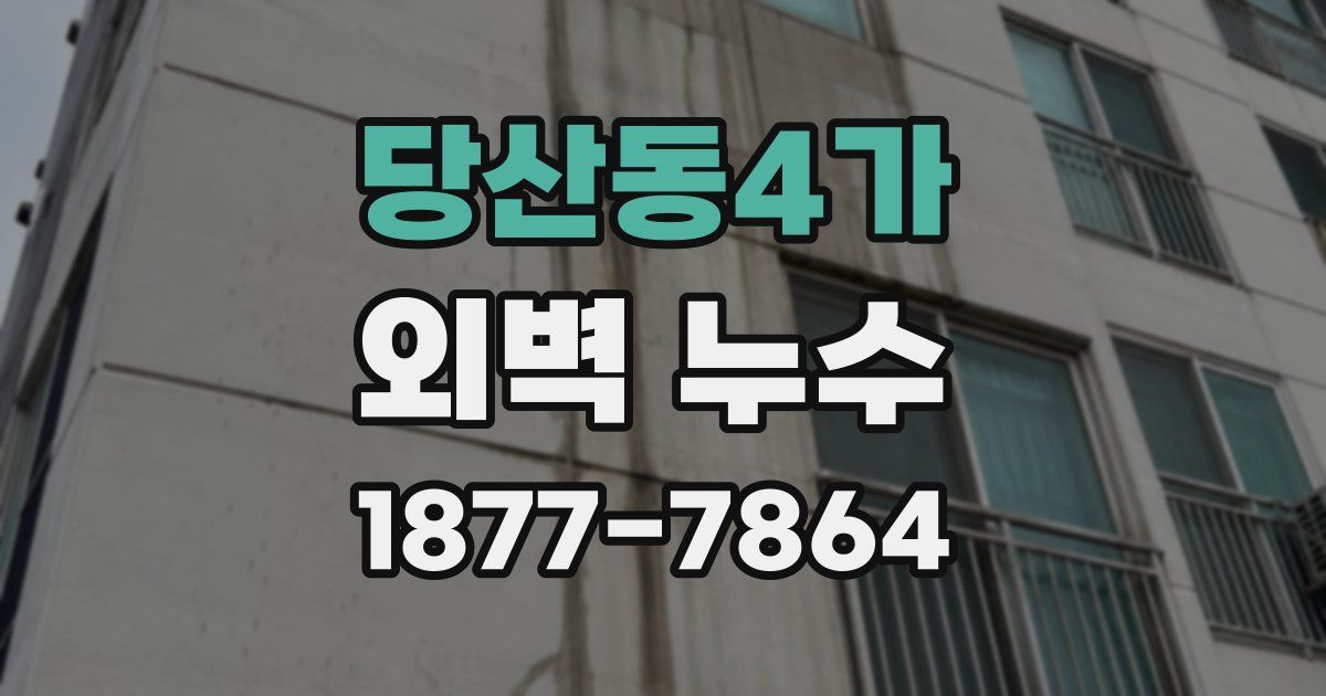 당산동4가 외벽 누수