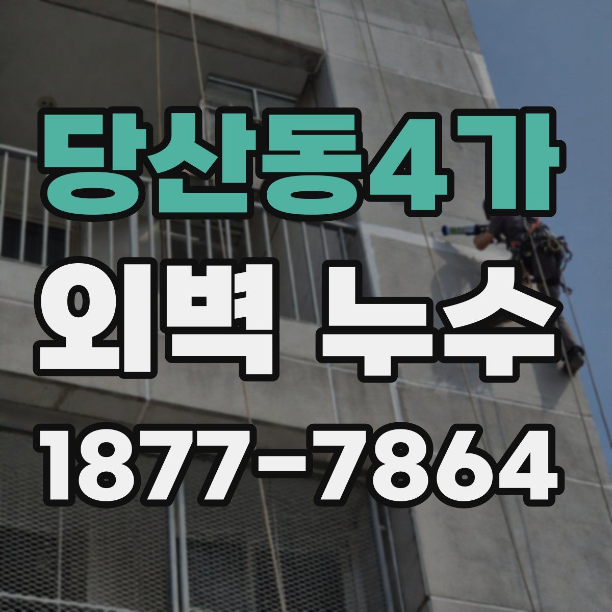 당산동4가 외벽 누수