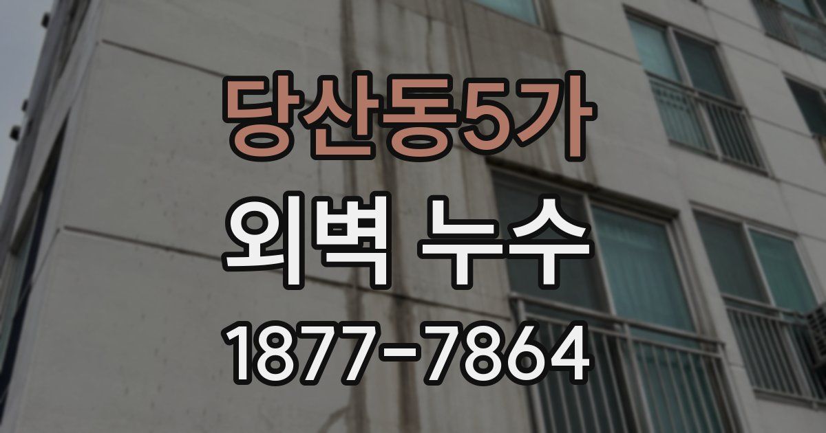 당산동5가 외벽 누수