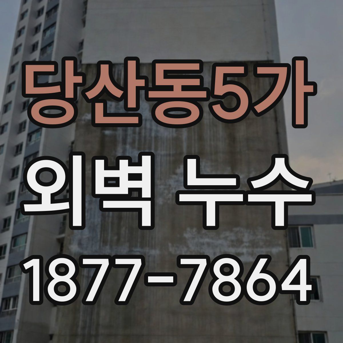 당산동5가 외벽 누수