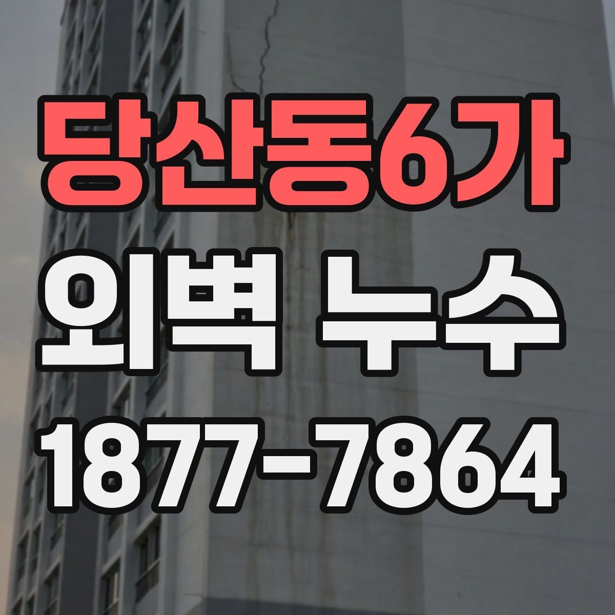 당산동6가 외벽 누수 의심될 때 먼저 확인할 부분