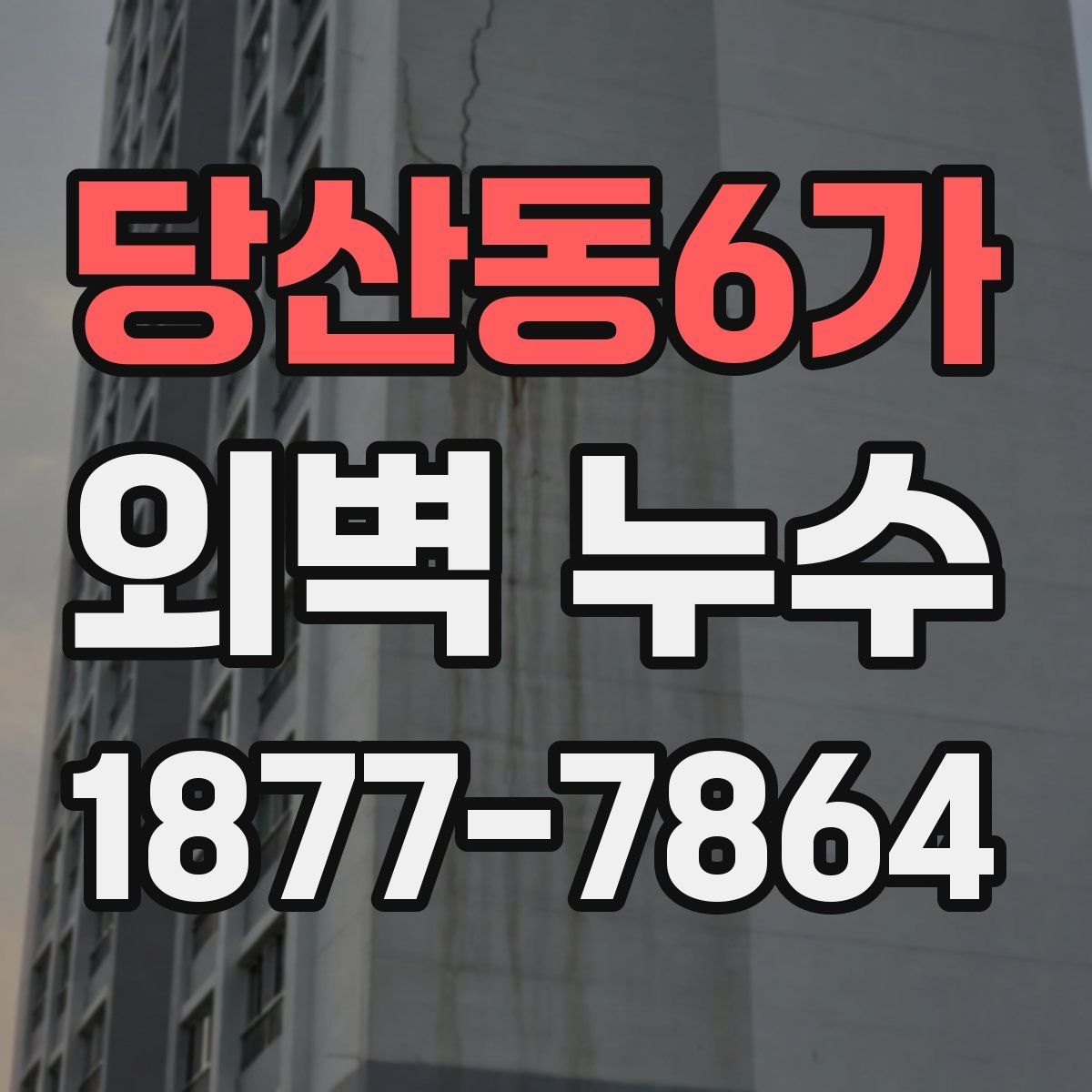 당산동6가 외벽 누수