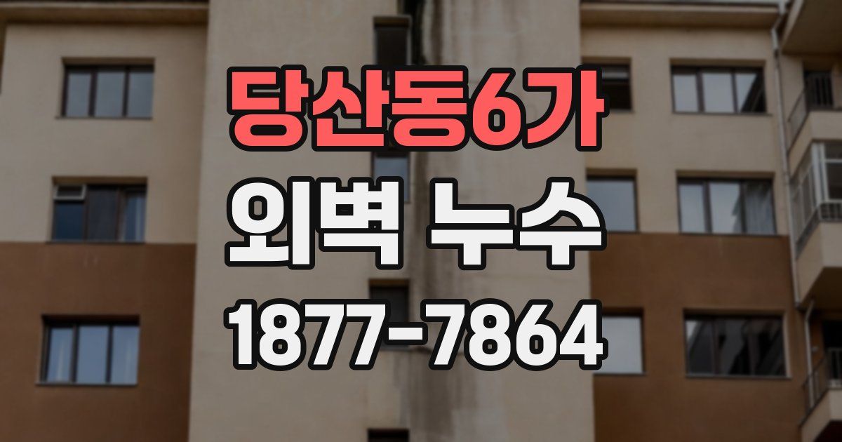 당산동6가 외벽 누수