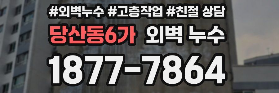 당산동6가 외벽 누수