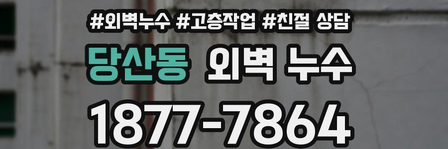 당산동 외벽 누수