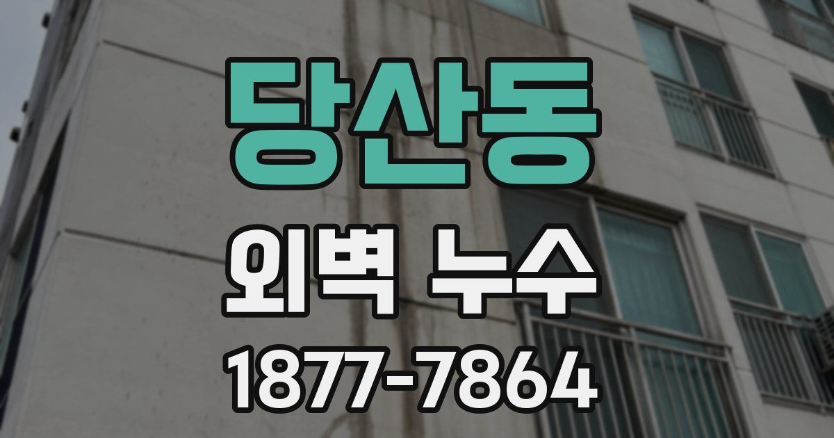당산동 외벽 누수