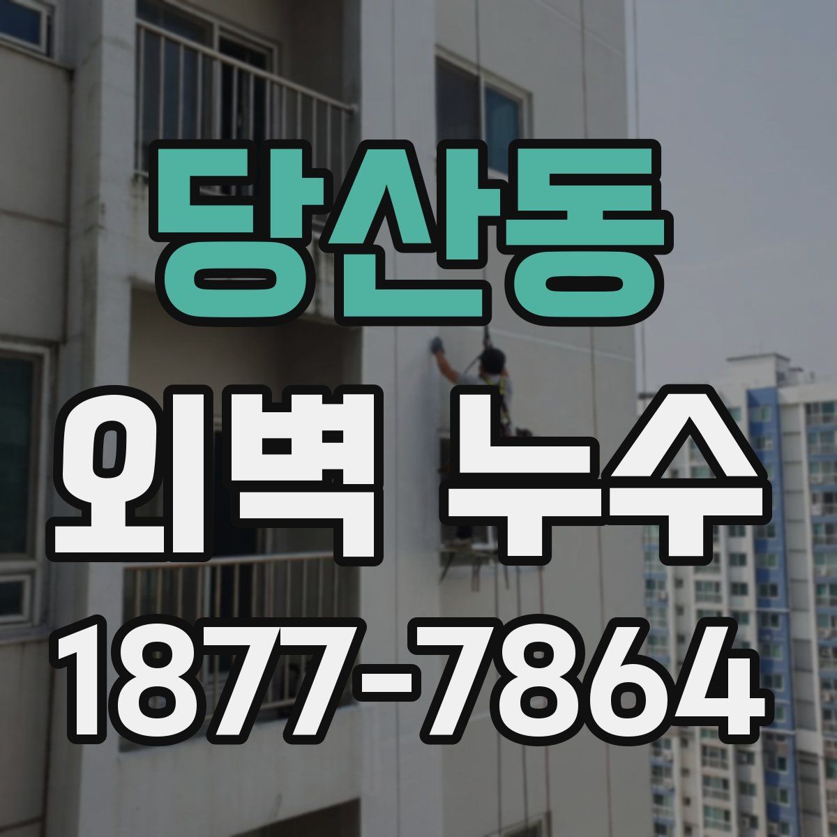 당산동 외벽 누수