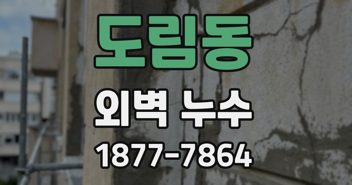 도림동 외벽 누수