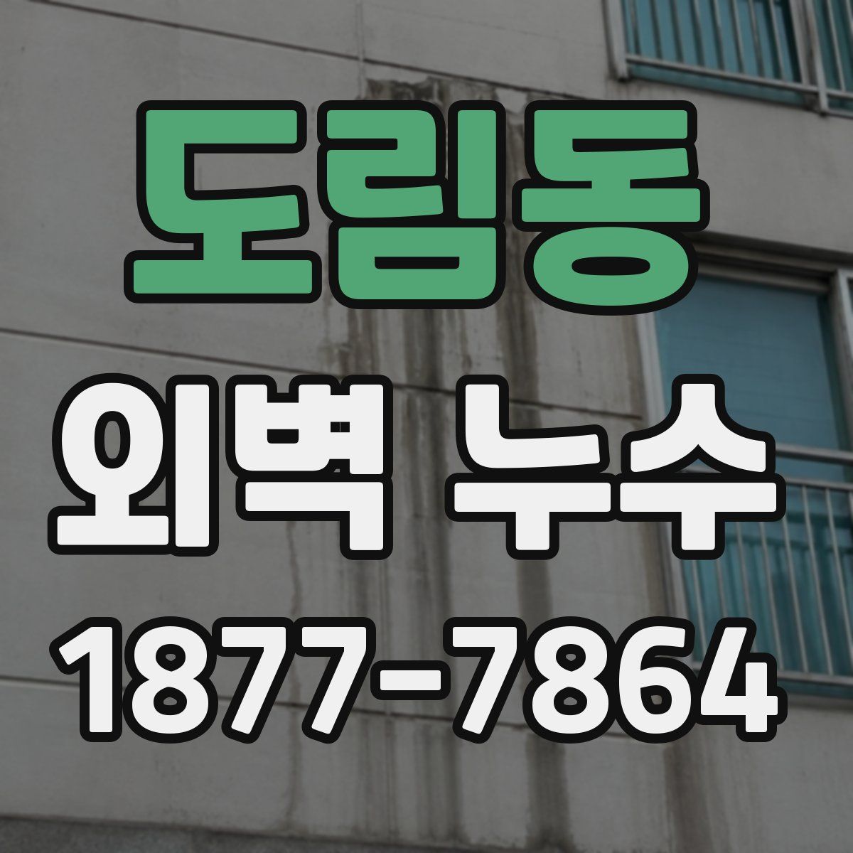 도림동 외벽 누수