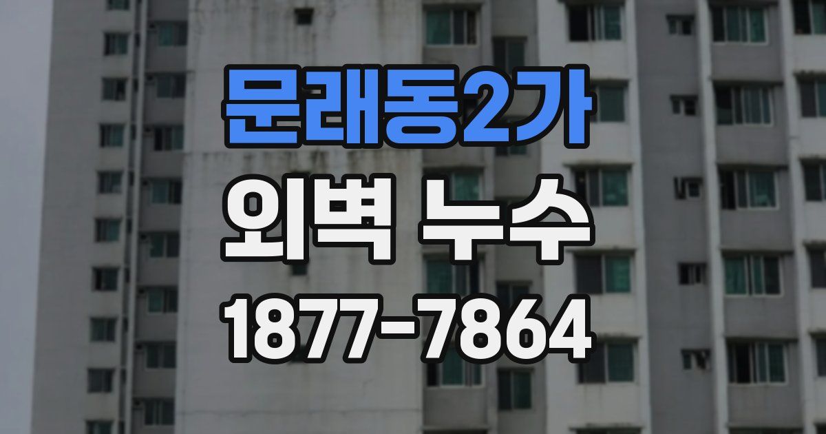 문래동2가 외벽 누수