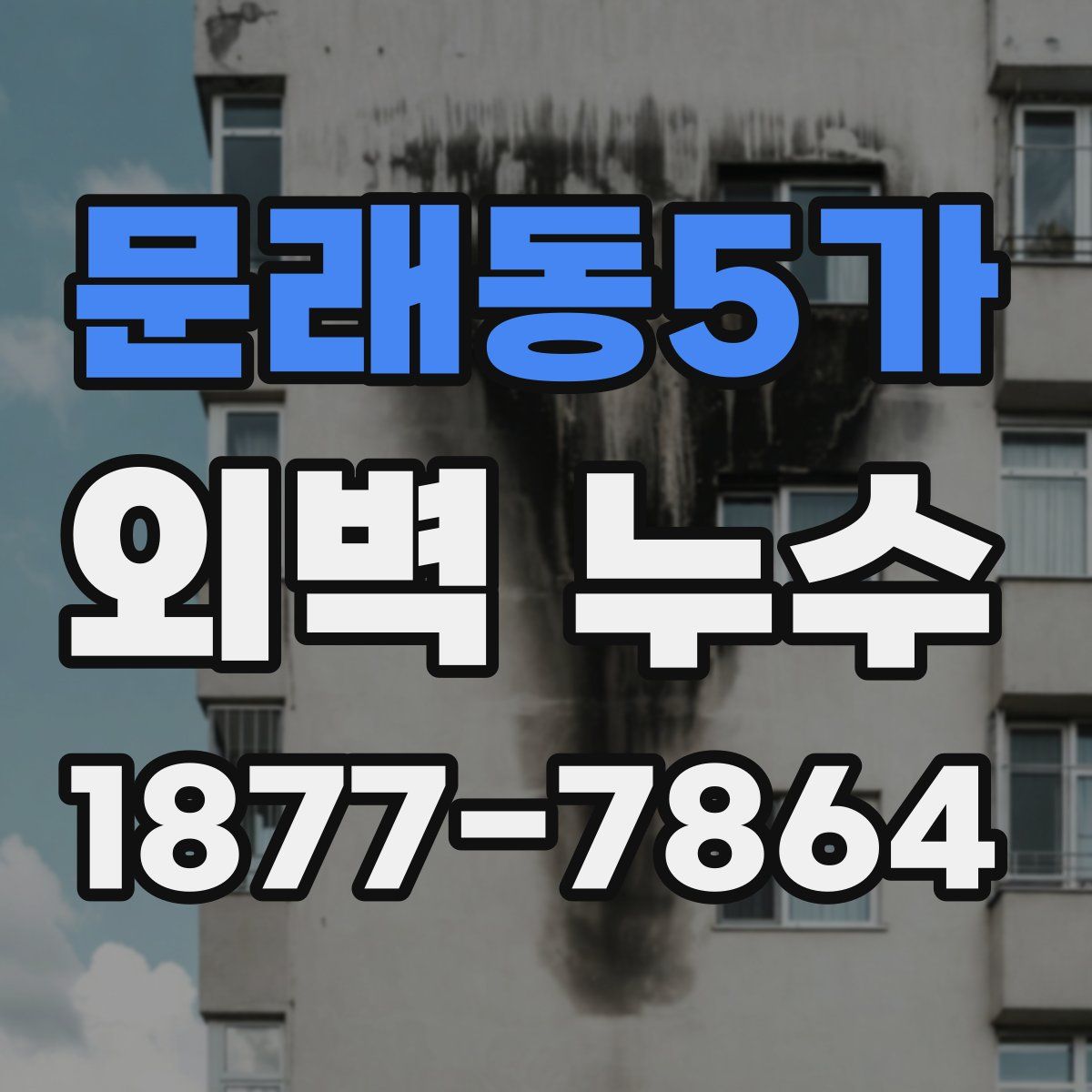 문래동5가 외벽 누수