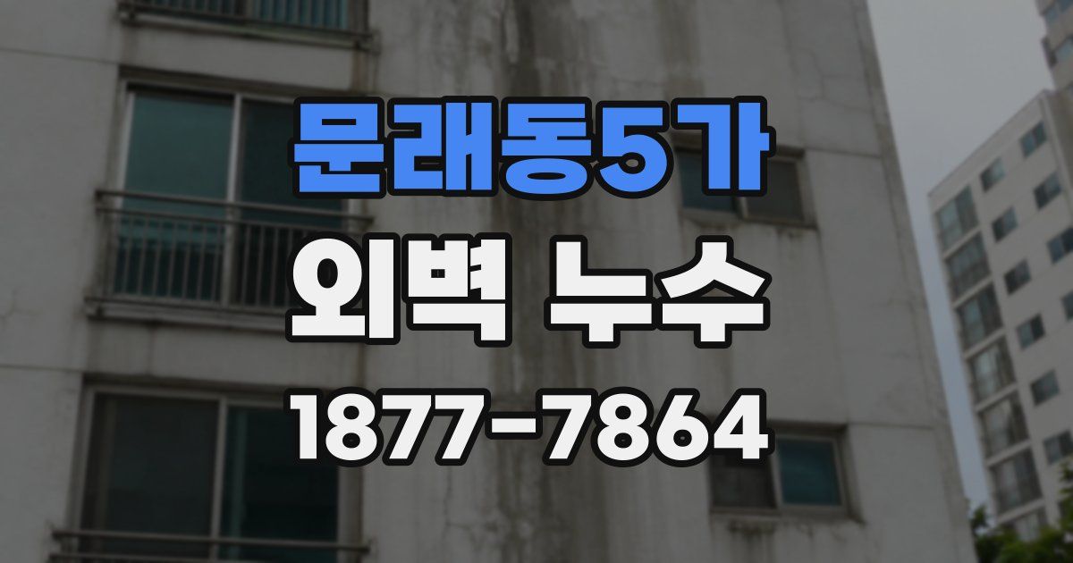 문래동5가 외벽 누수