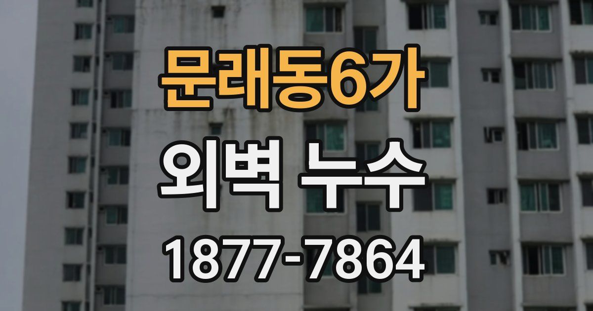 문래동6가 외벽 누수