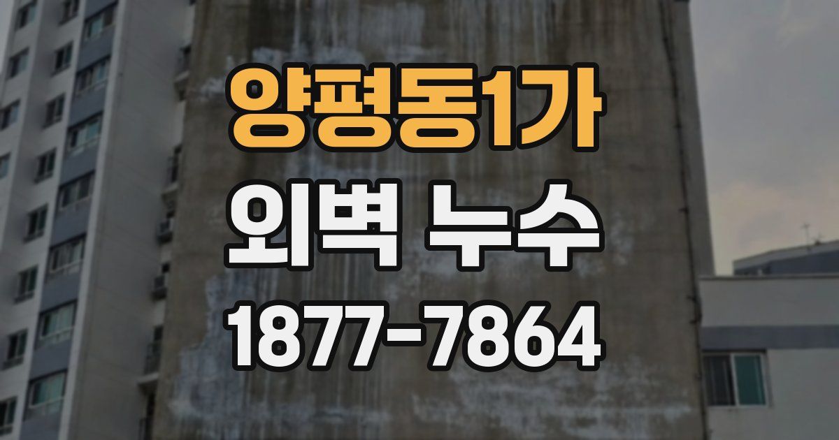 양평동1가 외벽 누수