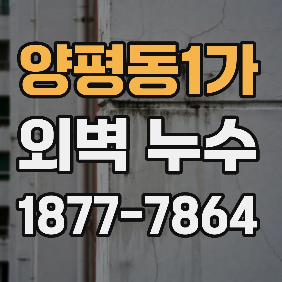 양평동1가 외벽 누수