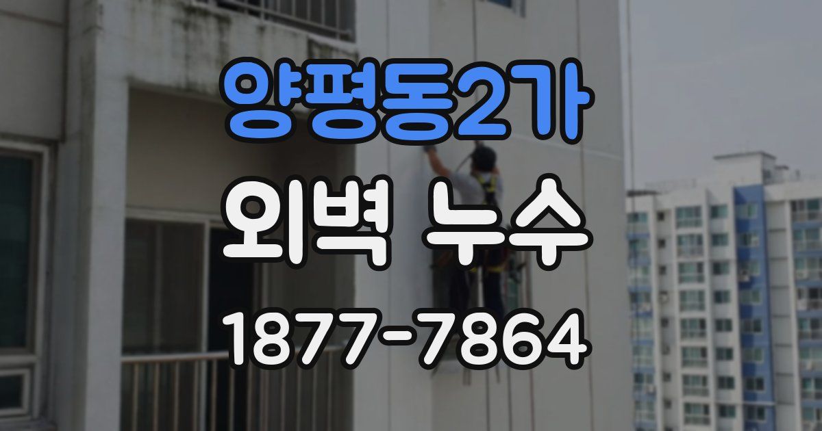 양평동2가 외벽 누수