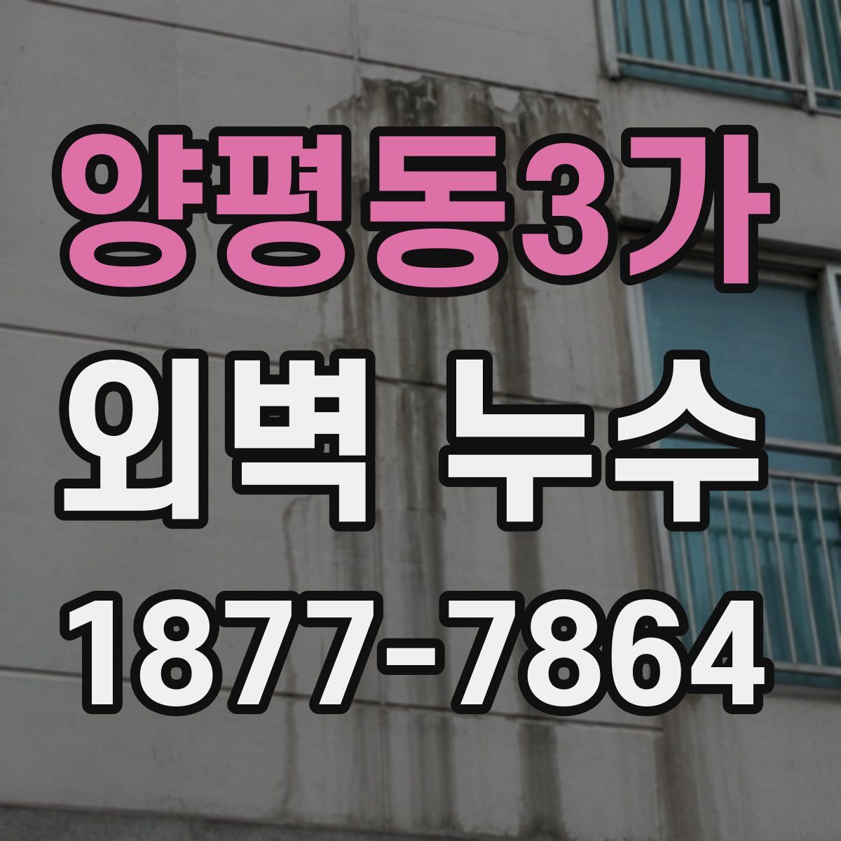 양평동3가 외벽 누수