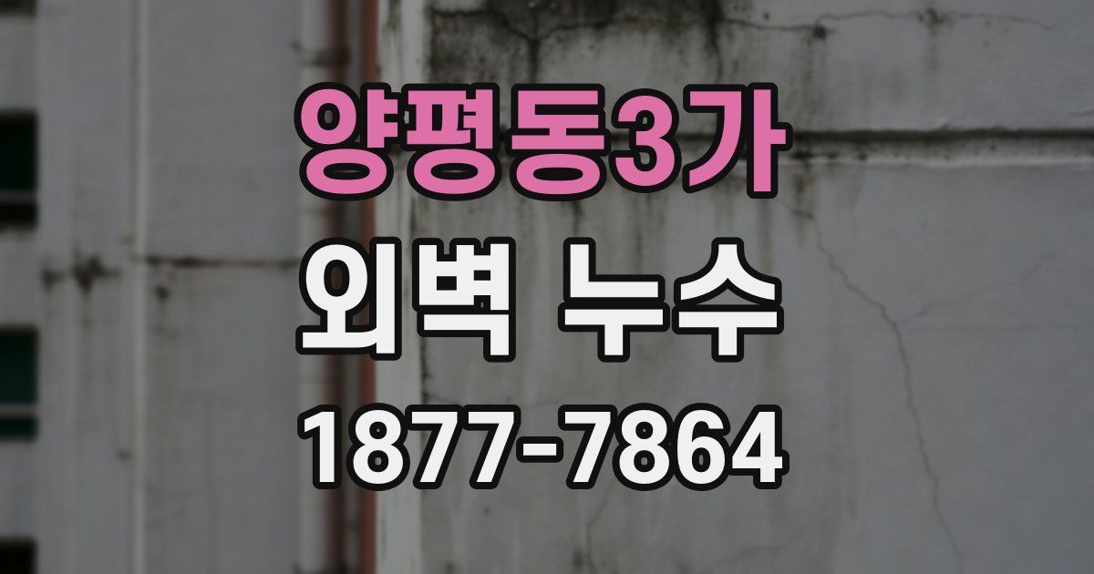 양평동3가 외벽 누수