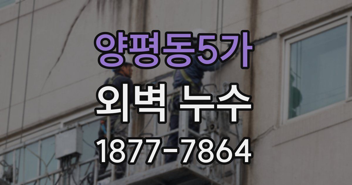 양평동5가 외벽 누수