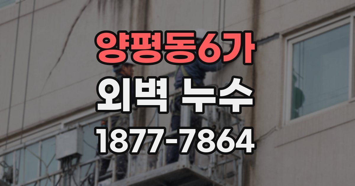양평동6가 외벽 누수