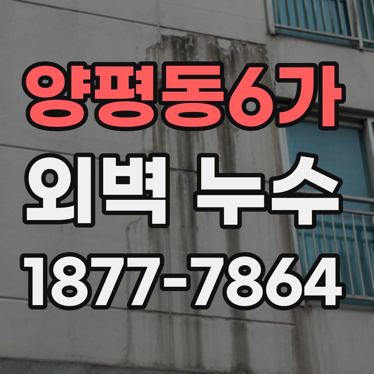 양평동6가 외벽 누수