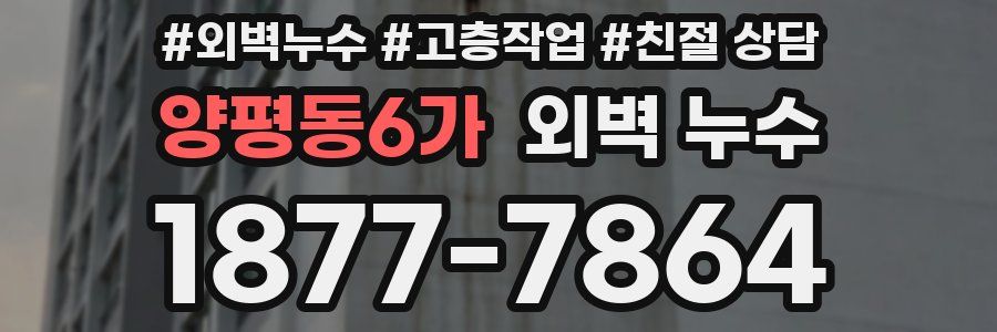 양평동6가 외벽 누수