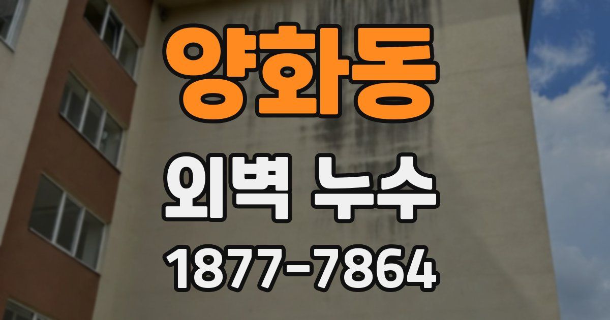 양화동 외벽 누수