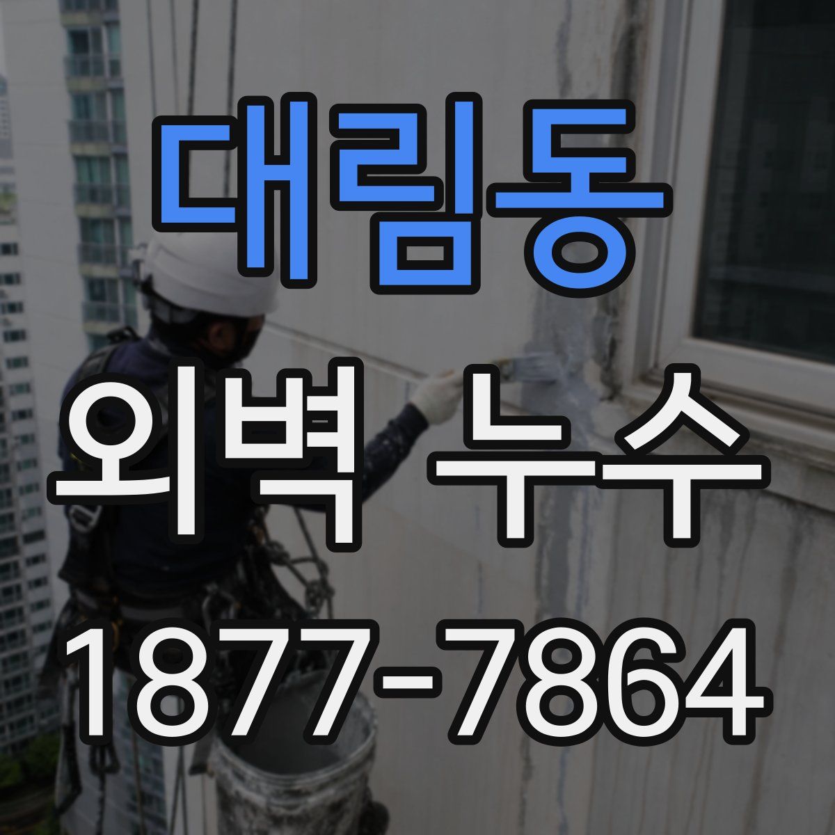 대림동 외벽 누수
