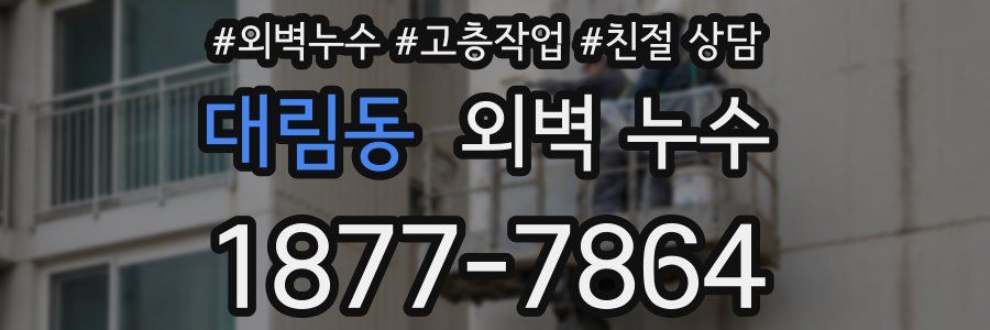 대림동 외벽 누수