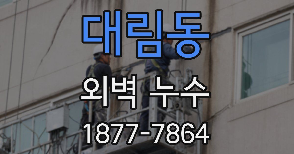 대림동 외벽 누수