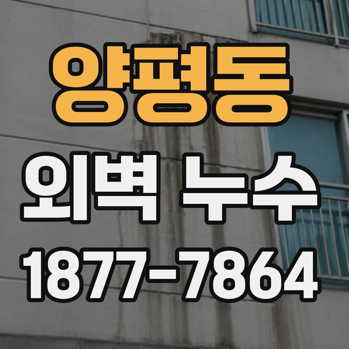 양평동 외벽 누수