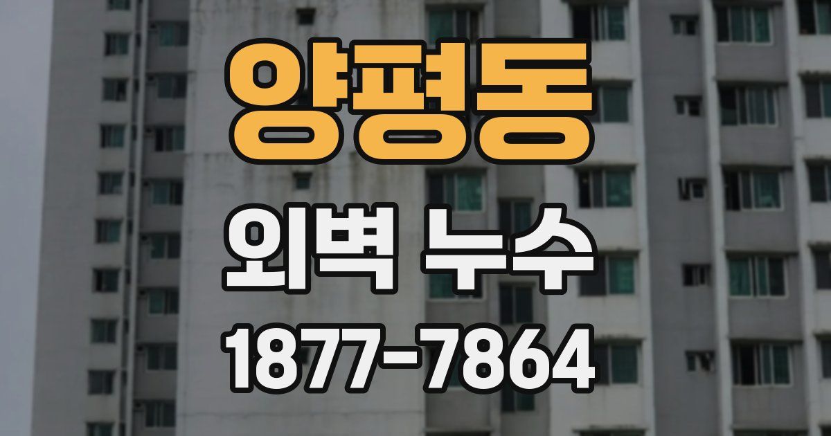 양평동 외벽 누수