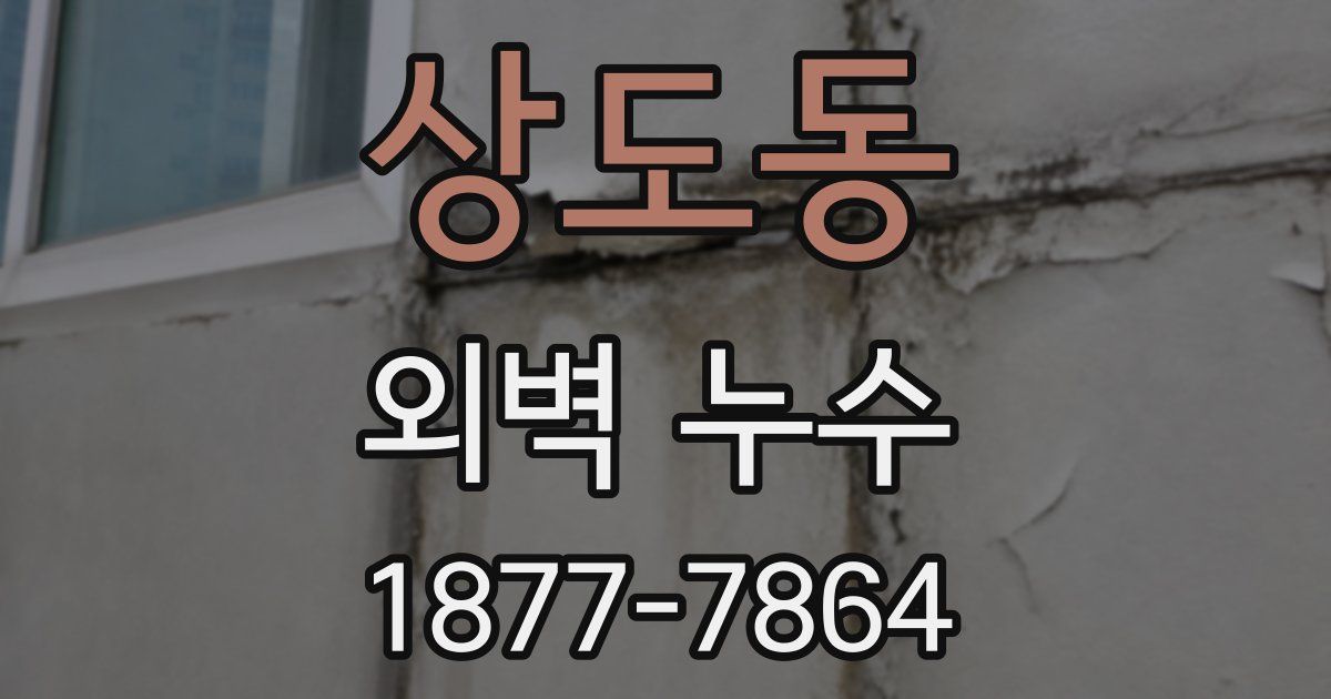 상도동 외벽 누수