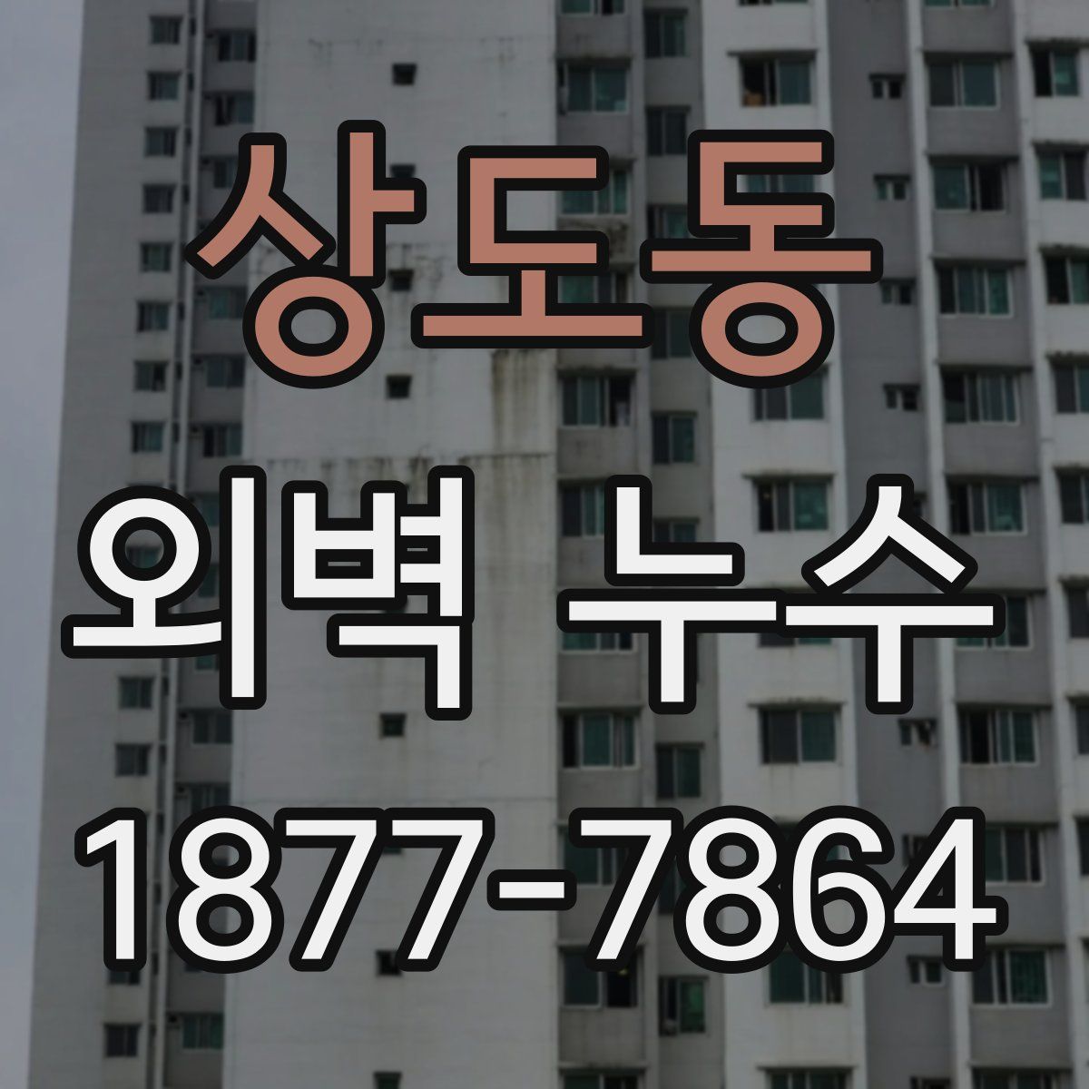 상도동 외벽 누수