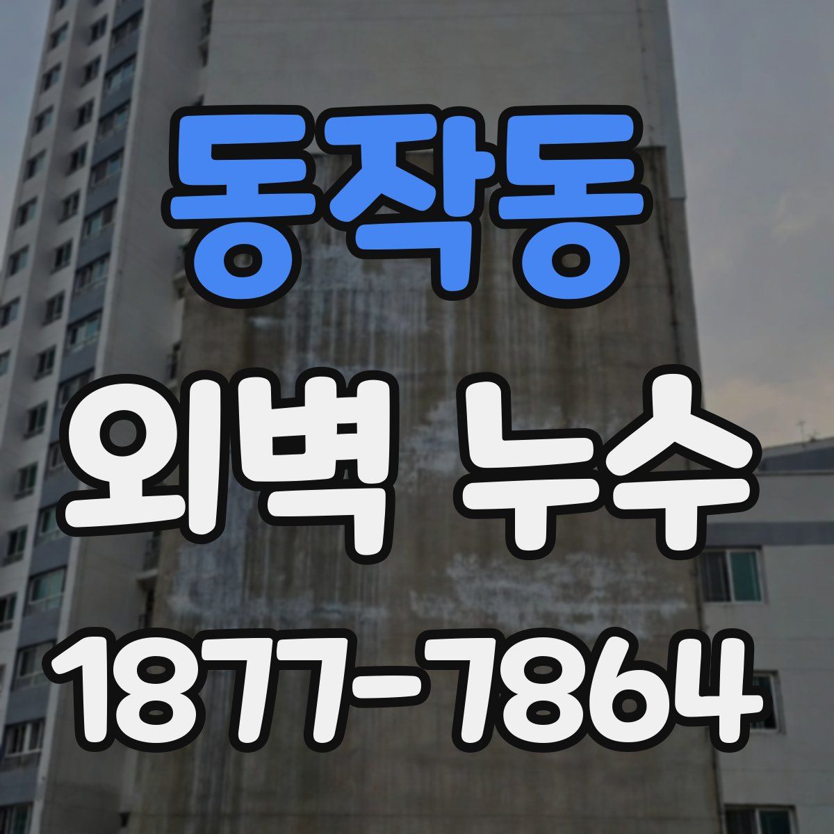 동작동 외벽 누수